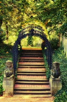 park-976316_640