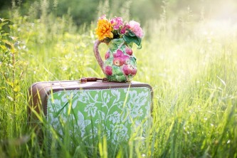summer-still-life-785231_640