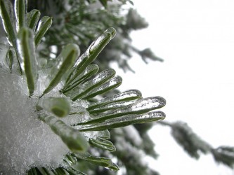 winter-216557_640