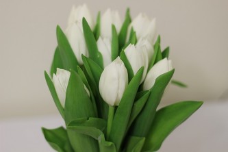 flowers-1209075_640