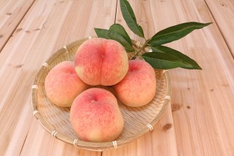 peach-583485_640