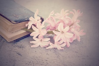 flower-1359522_640