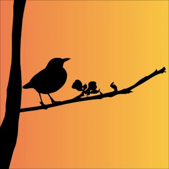 blackbird-163503_640