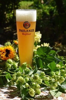 beer-1605826_640