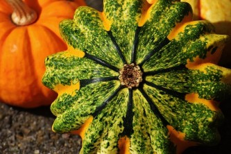 pumpkins-1677987_640