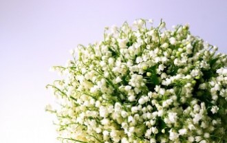 lily-of-the-valley-1693516_640