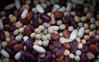 dried-beans-763158_640