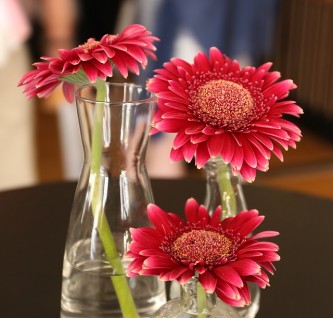 flowers-2025643_640