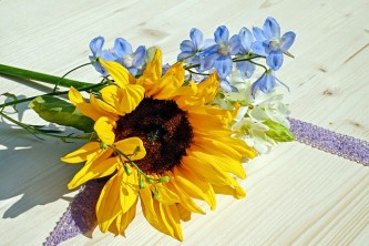 sun-flower-2432548_640