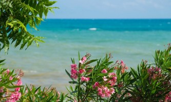 sea-2461412_640