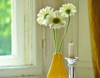 flowers-806328_640