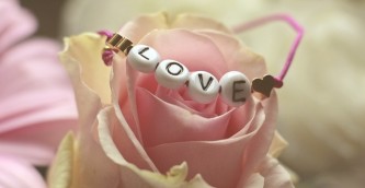 love-3388646_640