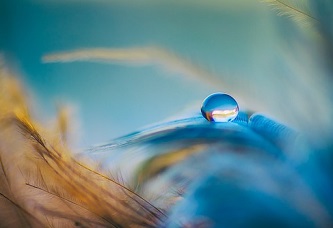 droplet-3716288_640