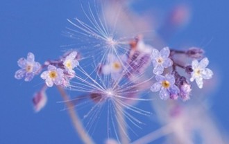 spring-4184594_640