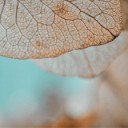 leaves-8502135_640