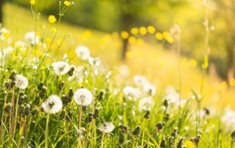 outdoors-5159687_640
