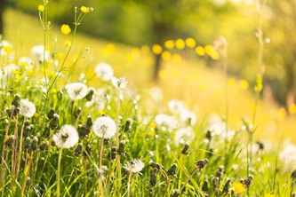 outdoors-5159687_640
