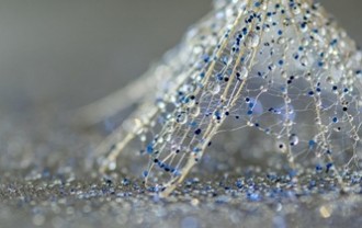 theorchard1-dandelion-4579444_640