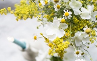 mivargof-flowers-3992893