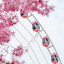 su-jun-ferris-wheel-10179892