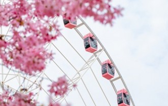 su-jun-ferris-wheel-10179892