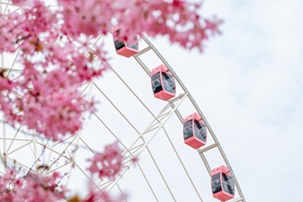 su-jun-ferris-wheel-10179892