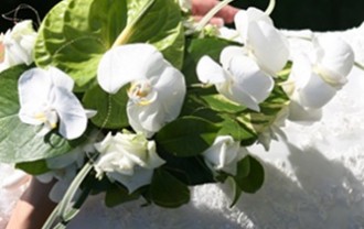 shutterbug75-wedding-1238432