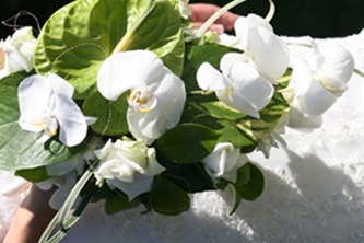 shutterbug75-wedding-1238432