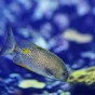 イ・ジョンソクの『君の声が聞こえる』ドラマに出てくる事件は実際にあった実話！？