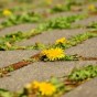 韓国語で「おせっかい」は何という？『ミセン』15話で確認