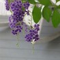 『太陽の末裔』知っているともっと楽しめる韓国の軍隊用語　日韓対訳セリフつき