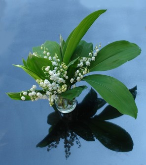 lily-of-the-valley-2012817_640