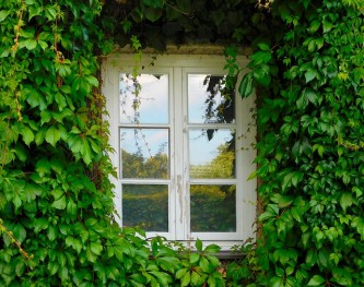 window-1679344_640