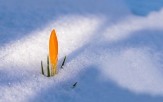 spring-awakening-3132112_640