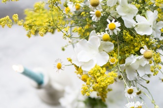 mivargof-flowers-3992893