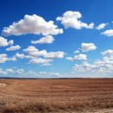pcdazero-field-533541