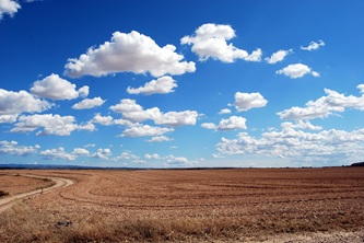 pcdazero-field-533541