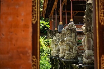 my_shot-bali-10400105_640