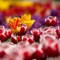 ミュージカル『그날들』はその日々？あの日々？『ヒーラー』で確認